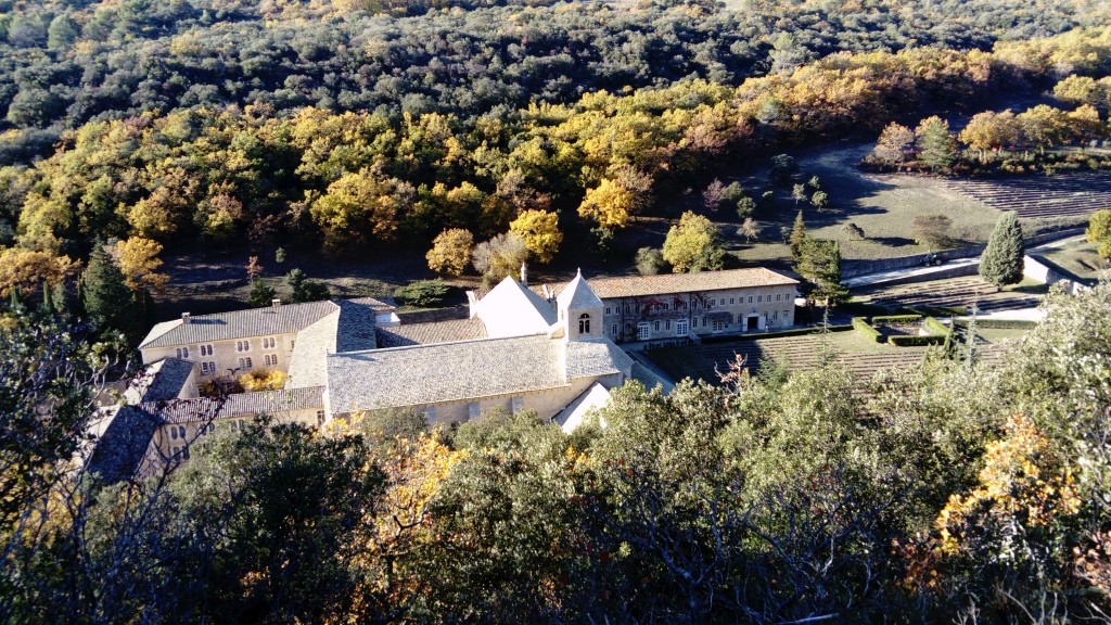 Abbaye de senanque 2 