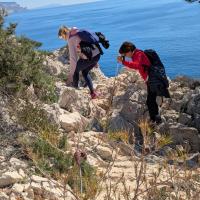 Les calanques 25