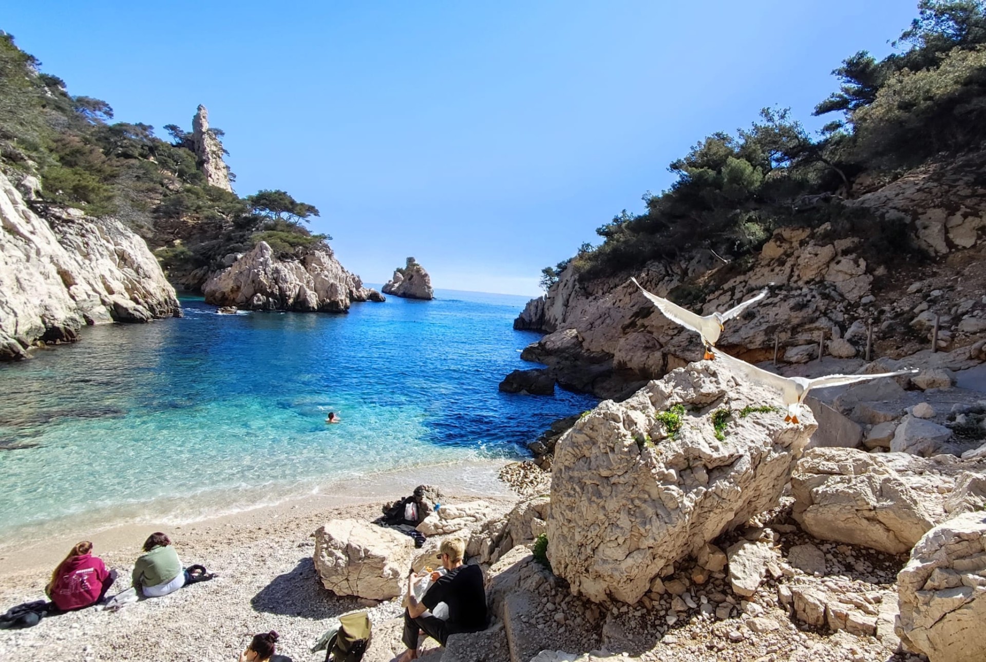 Les calanques 25