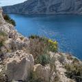 Img 20250317 wa0007 2