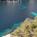 Img 20250317 wa0009 2