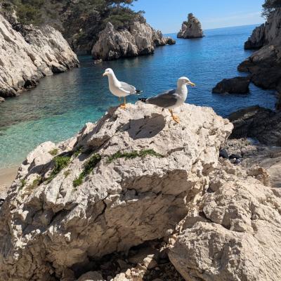 Les Calanques 25